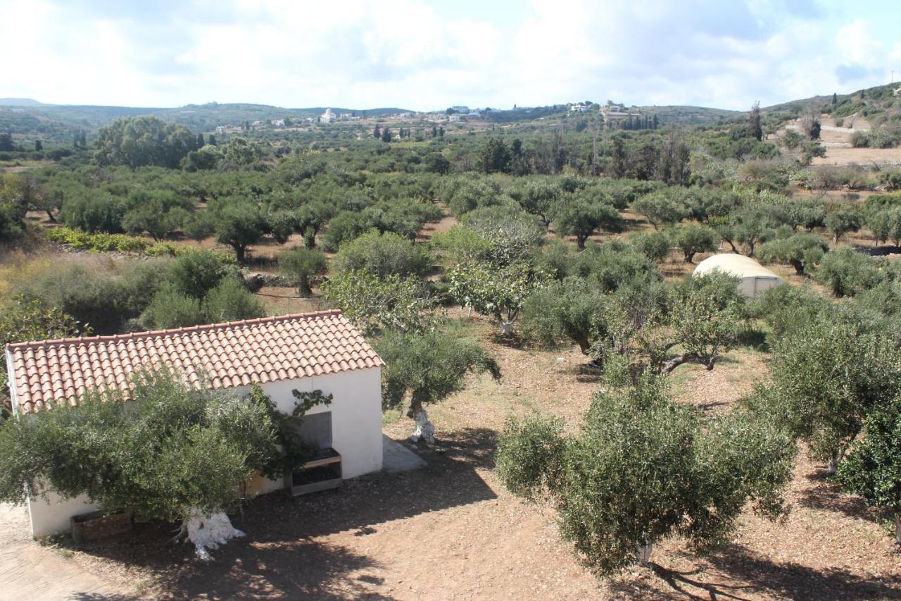 Theofilos Appartements Livadi  Exteriér fotografie