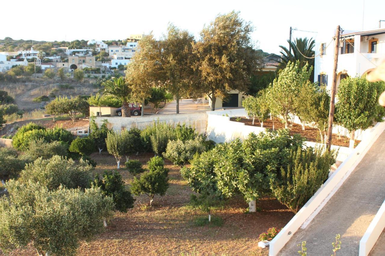 Theofilos Appartements Livadi  Exteriér fotografie
