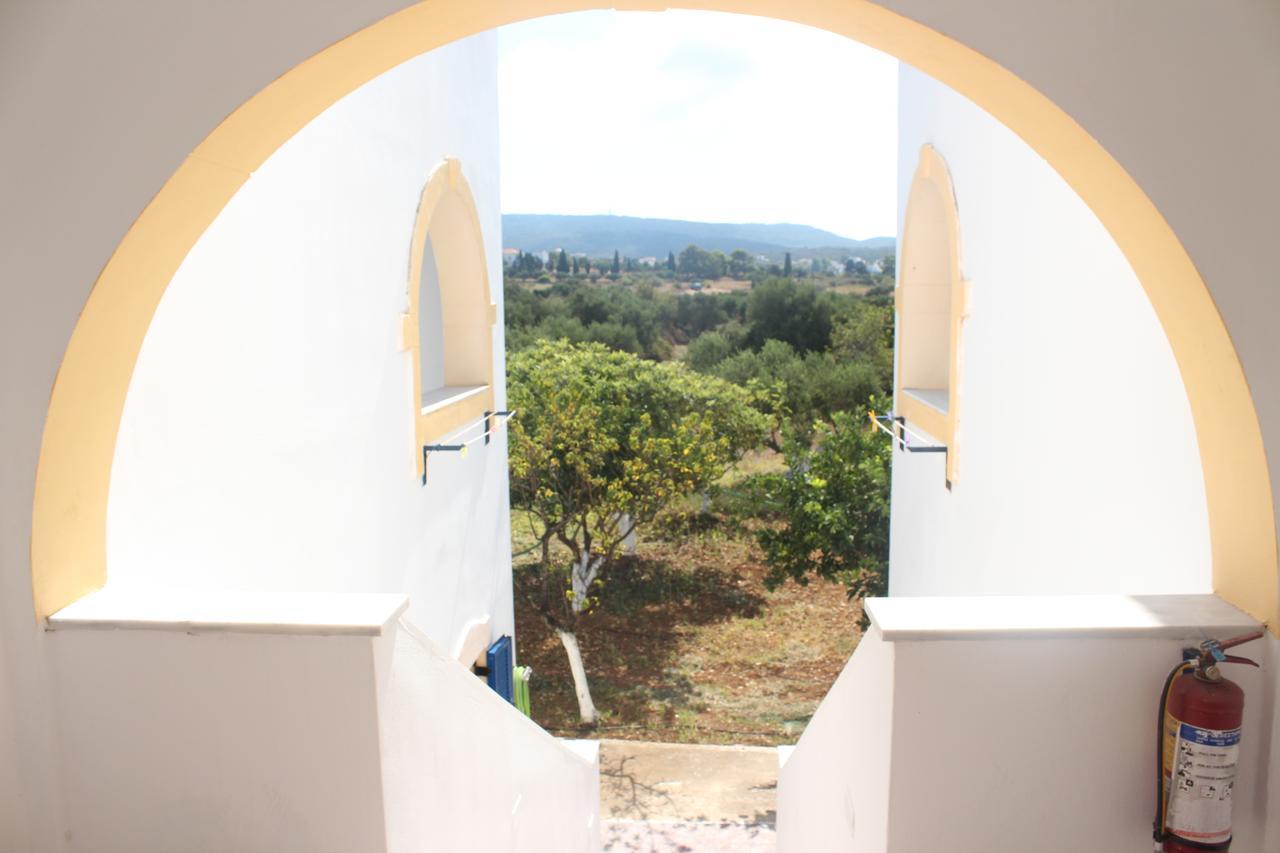 Theofilos Appartements Livadi  Exteriér fotografie