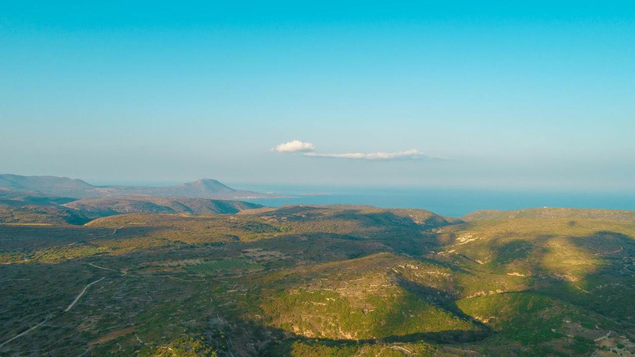 Theofilos Appartements Livadi  Exteriér fotografie