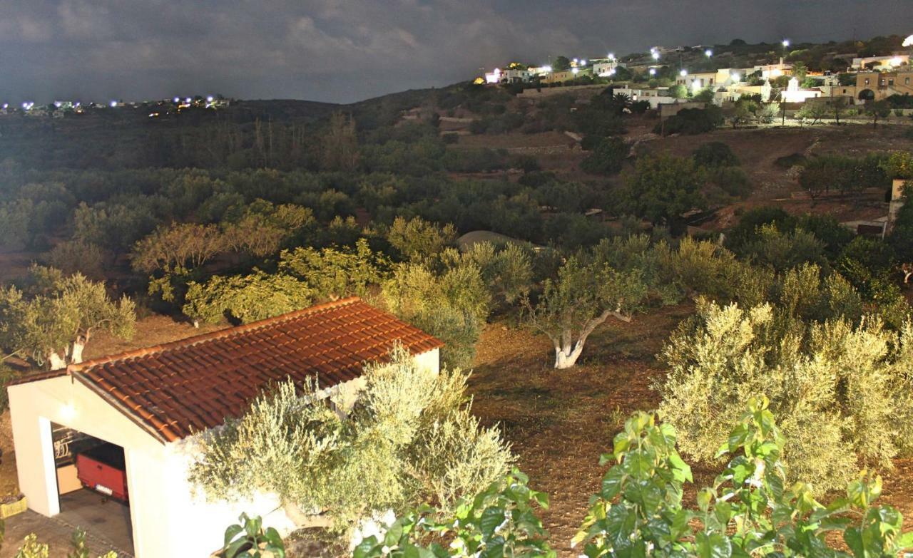 Theofilos Appartements Livadi  Exteriér fotografie