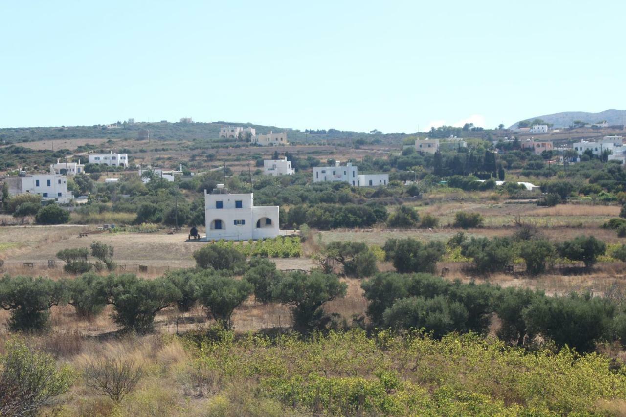 Theofilos Appartements Livadi  Exteriér fotografie